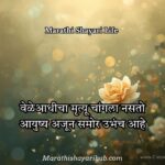 Marathi Shayari About Life
