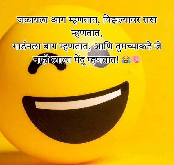 Best Marathi Shayari Funny 2 Lines