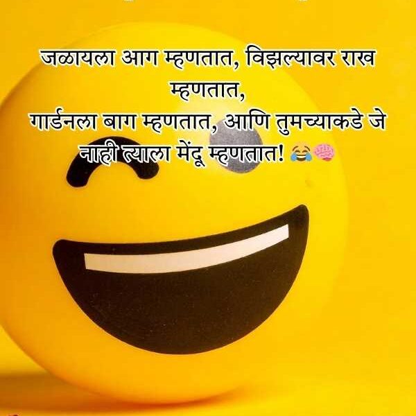 Best Marathi Shayari Funny 2 Lines
