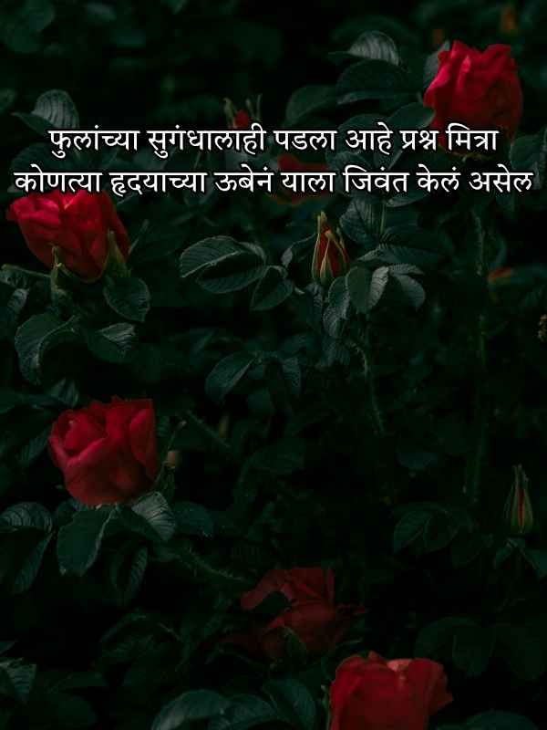 Shayari on Flowers in Marathi